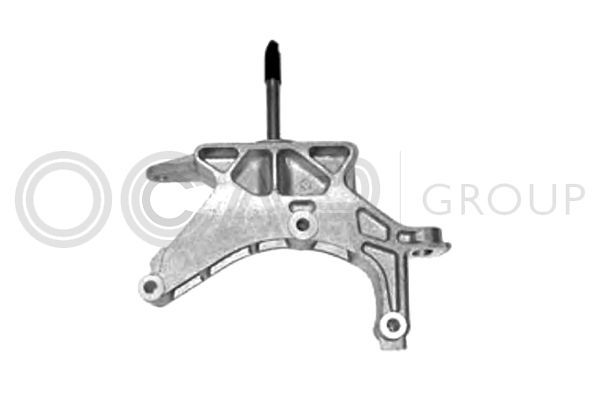 Variklio montavimas OCAP 1225798