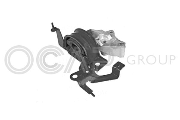 Variklio montavimas OCAP 1225799