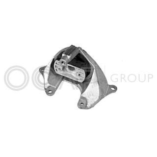 Variklio montavimas OCAP 1225800