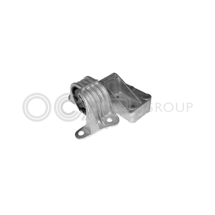 Variklio montavimas OCAP 1225801