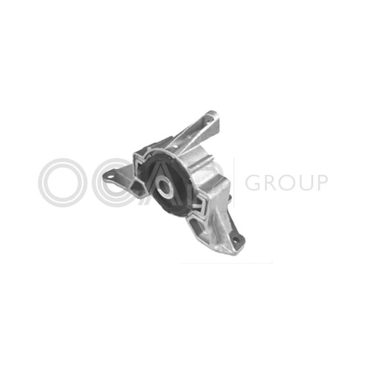 Variklio montavimas OCAP 1225802