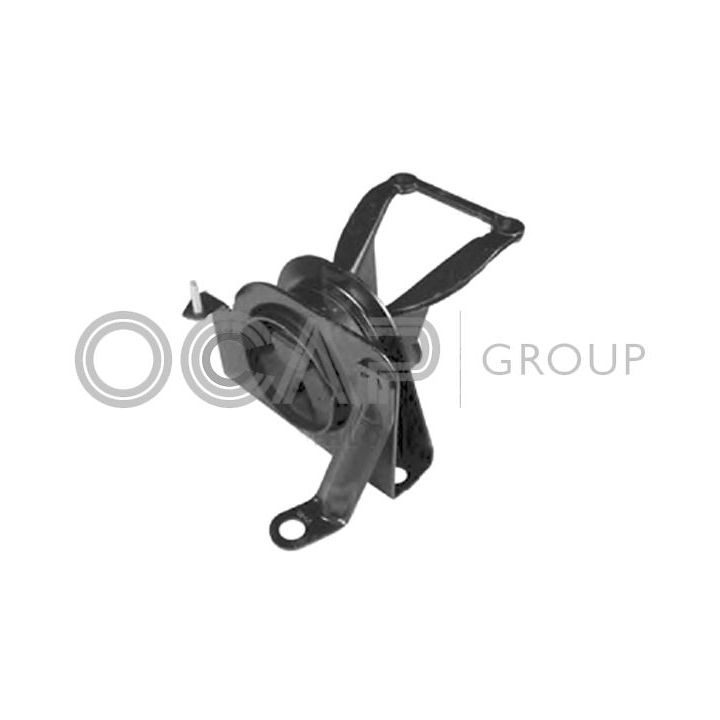 Variklio montavimas OCAP 1225811