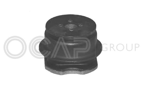 Variklio montavimas OCAP 1225815