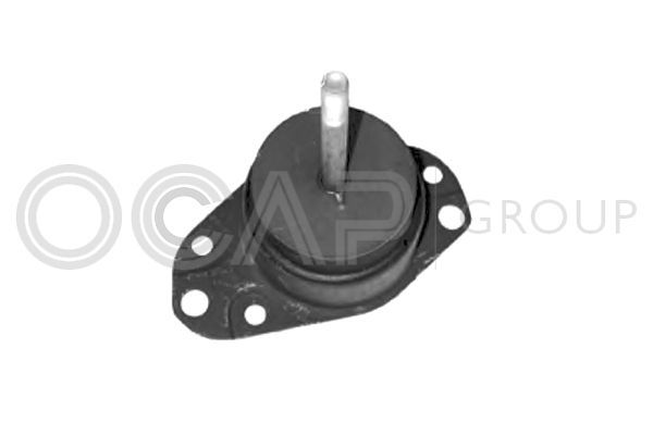 Variklio montavimas OCAP 1225817