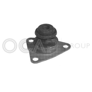 Variklio montavimas OCAP 1225820