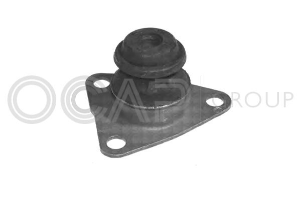Variklio montavimas OCAP 1225820