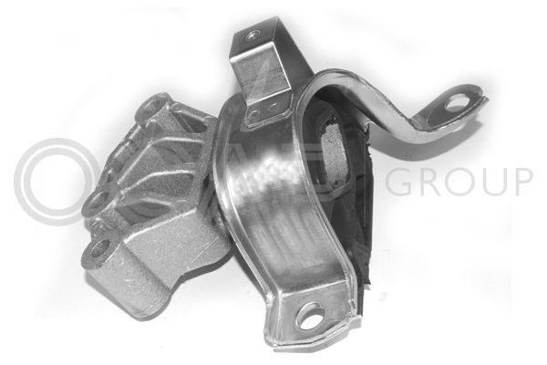 Variklio montavimas OCAP 1225822