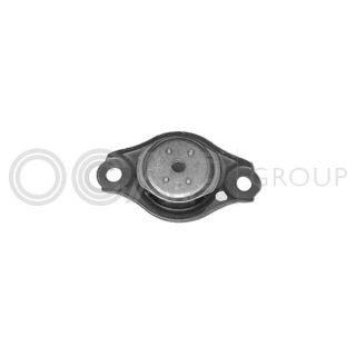 Variklio montavimas OCAP 1225823