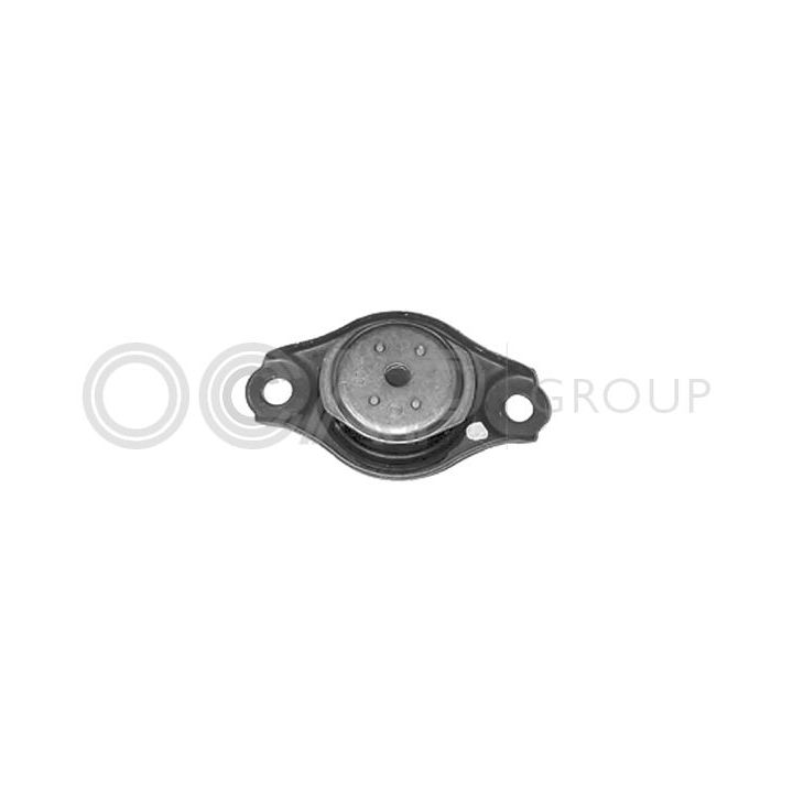 Variklio montavimas OCAP 1225823