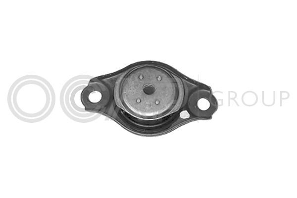 Variklio montavimas OCAP 1225823