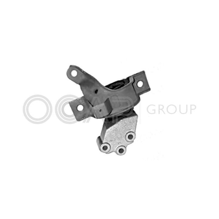 Variklio montavimas OCAP 1225828