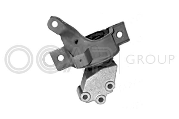 Variklio montavimas OCAP 1225828