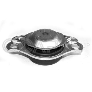 Variklio montavimas OCAP 1225830