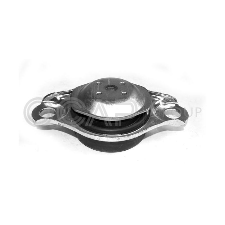Variklio montavimas OCAP 1225830