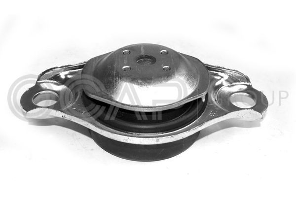 Variklio montavimas OCAP 1225830