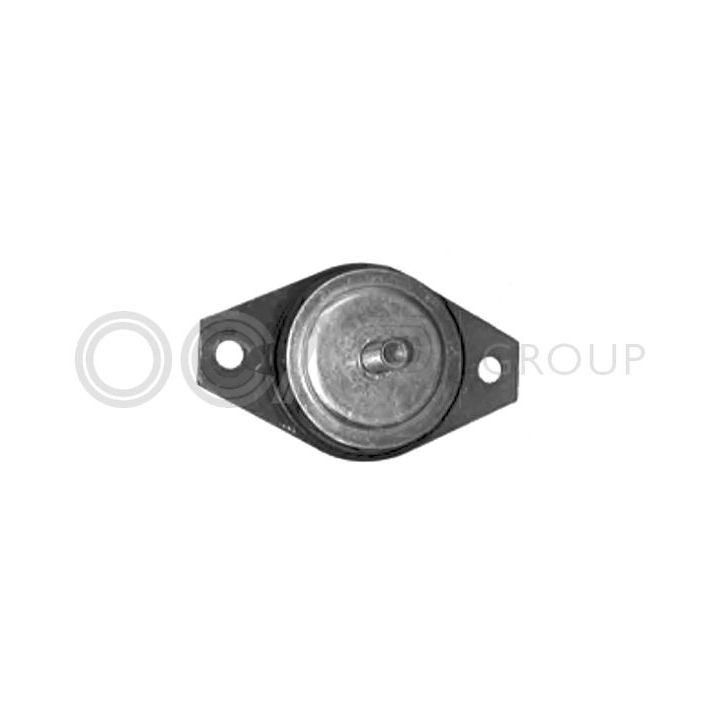 Variklio montavimas OCAP 1225833