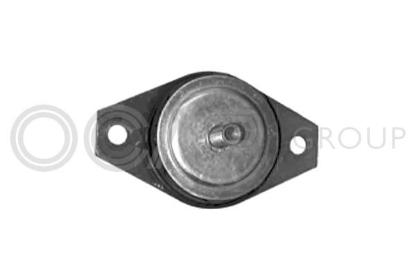 Variklio montavimas OCAP 1225833