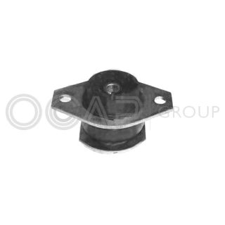 Variklio montavimas OCAP 1225834