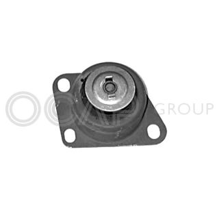 Variklio montavimas OCAP 1225838