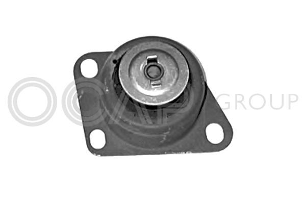 Variklio montavimas OCAP 1225838