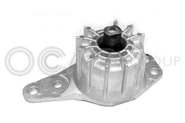 Variklio montavimas OCAP 1225839