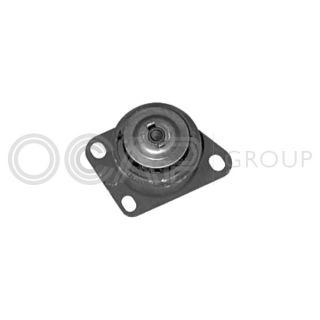 Variklio montavimas OCAP 1225846