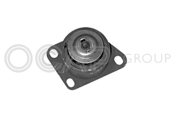 Variklio montavimas OCAP 1225846