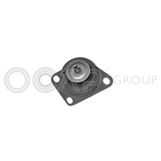 Variklio montavimas OCAP 1225847