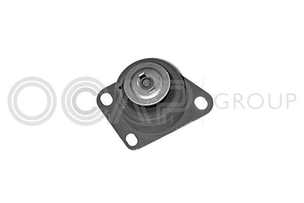 Variklio montavimas OCAP 1225847