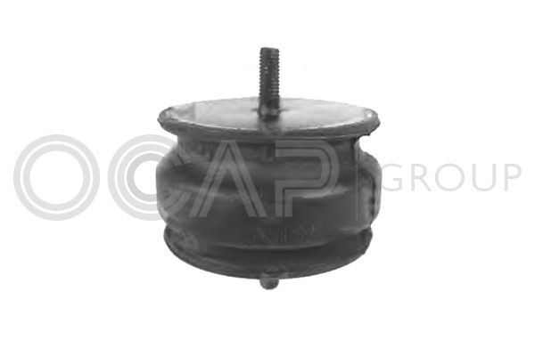 Variklio montavimas OCAP 1225852