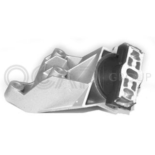 Variklio montavimas OCAP 1225865