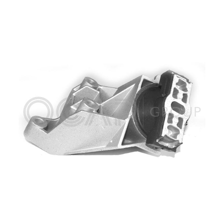 Variklio montavimas OCAP 1225865