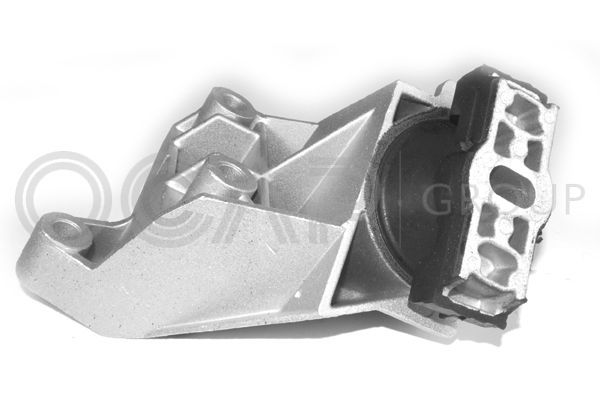 Variklio montavimas OCAP 1225865