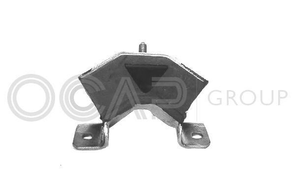 Variklio montavimas OCAP 1225873