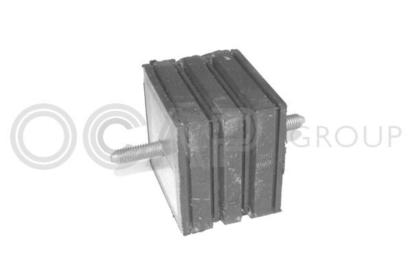 Variklio montavimas OCAP 1225874