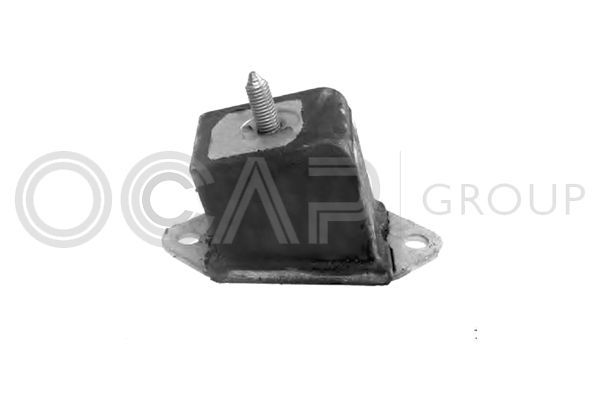 Variklio montavimas OCAP 1225875