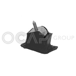 Variklio montavimas OCAP 1225876