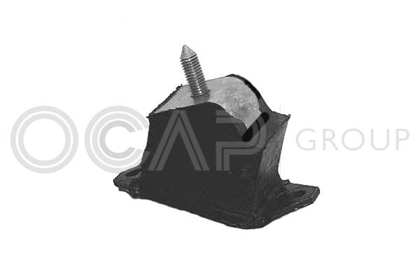 Variklio montavimas OCAP 1225876