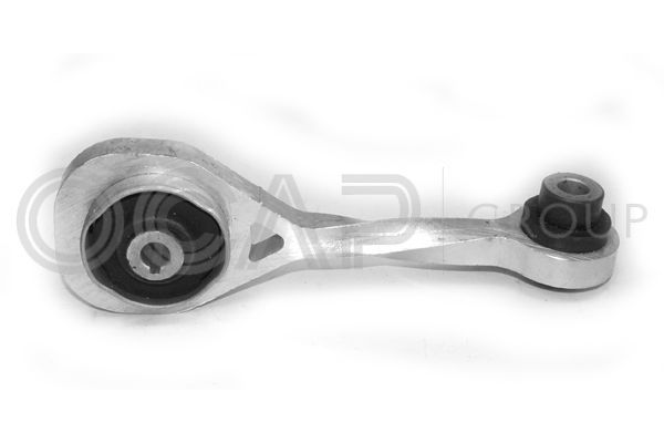 Variklio montavimas OCAP 1225882