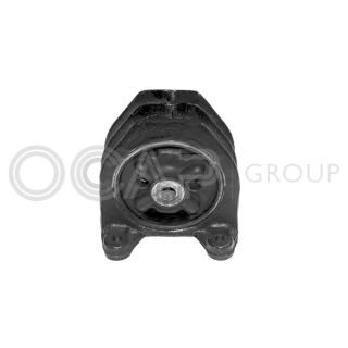 Variklio montavimas OCAP 1225886