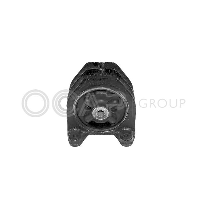 Variklio montavimas OCAP 1225886