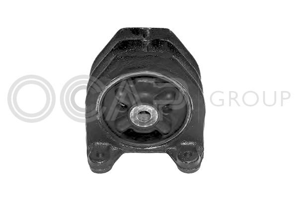 Variklio montavimas OCAP 1225886