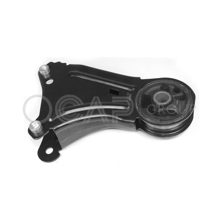 Variklio montavimas OCAP 1225895