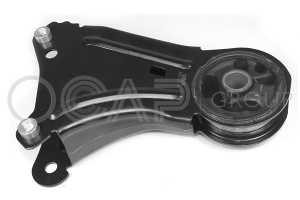 Variklio montavimas OCAP 1225895