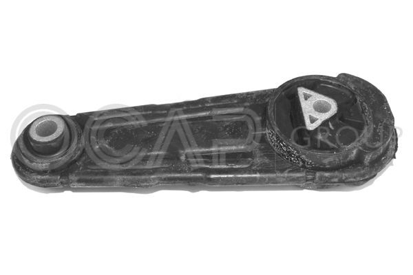 Variklio montavimas OCAP 1225898