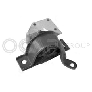 Variklio montavimas OCAP 1225900