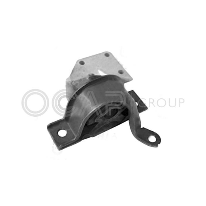 Variklio montavimas OCAP 1225900