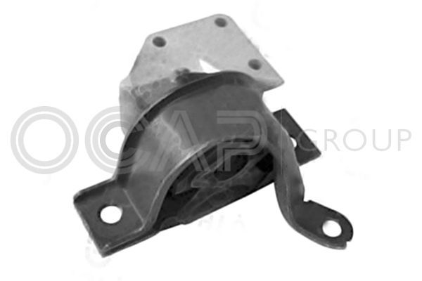 Variklio montavimas OCAP 1225900