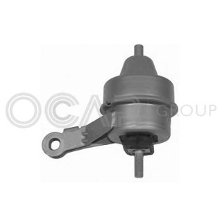 Variklio montavimas OCAP 1225901