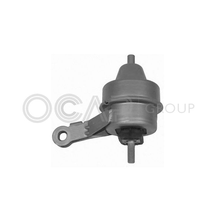 Variklio montavimas OCAP 1225901